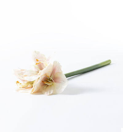 Kunstig Amaryllis lys rosa Kunstig Amaryllis lys rosa